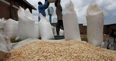 Northern Province Farmers Assured of Faster Payments for Maize Sales to FRA