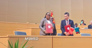 Zambia and PowerChina Sign MoU to Revamp Solar-Powered Hammer Mills
