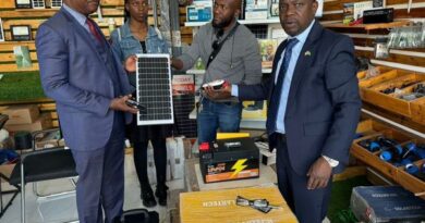 Govt Promotes Solar Energy for Small Businesses