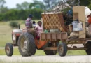 Zimbabwe to Begin Compensation for Farmers Affected by Early 2000s Land Invasions 