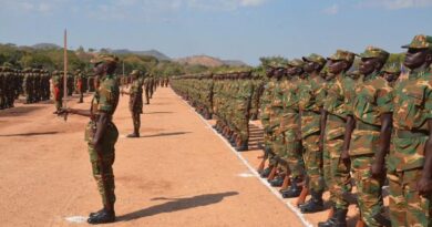 Zambia Army Condemns Violent Incident Involving Recruits in Mufulira