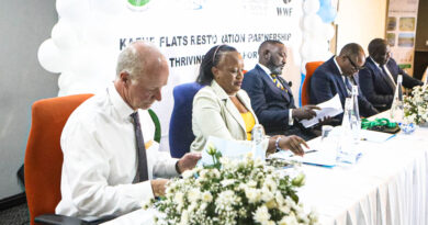 Reviving the Kafue Flats: A 20-Year Conservation Commitment Unites WWF, ICF, DNPW, and EWT 