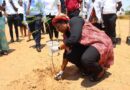 MCTI Leads Tree Planting Initiative to Honor Zambia’s 60th Independence Anniversary