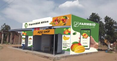 FarmBid Africa: Revolutionizing Farming by Cutting Out Middlemen