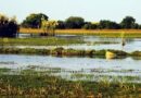 Biodiversity and Water Management: Key Findings from Luapula Basin Research at 25th WaterNet Symposium