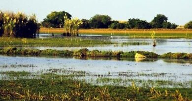 Biodiversity and Water Management: Key Findings from Luapula Basin Research at 25th WaterNet Symposium