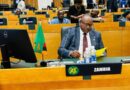 Zambia Reaffirms Commitment to Peace in the DRC at SADC Extraordinary Summit