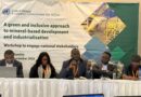 CEJ Advocates for Sustainable Mining at UNECA Workshop in Ndola