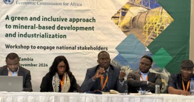 CEJ Advocates for Sustainable Mining at UNECA Workshop in Ndola