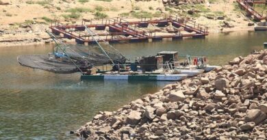 FAO Advocates for Aquaculture to Protect Lake Kariba’s Ecosystem 