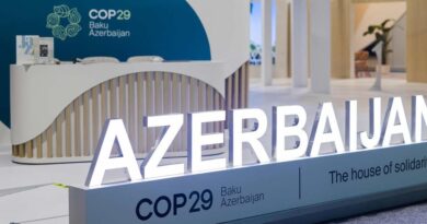 Africa Pushes for Green Wealth and Increased Climate Finance at COP29