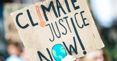 Landmark Climate Change Legal Hearing Concludes in The Hague