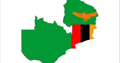 Zambians Urged to Adhere to South African Immigration Regulations