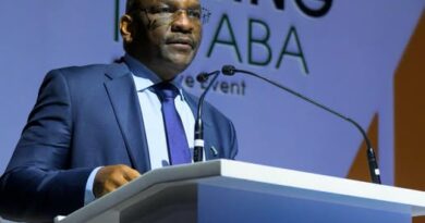 Afreximbank Calls on Africa’s Miners to Take Bold Steps in Resource Ownership