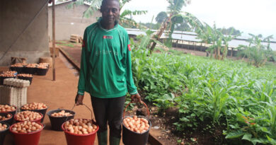 Revolutionizing Livestock Farming in Cameroon: The Power of Productive Partnerships