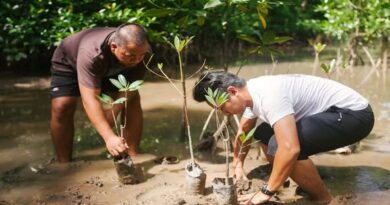 Harnessing Nature to Combat Climate Change: Africa’s Green Solutions for a Resilient Future