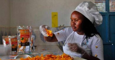 African Youth Drive Agricultural Transformation with ENABLE Youth Funding