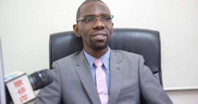 Zambia’s Mining Output Targets Demand Broader Economic Focus – Economist Chisanga