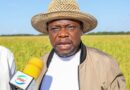 Gov’t to Establish First Rice Processing Plant in Sikongo