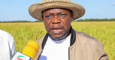 Gov’t to Establish First Rice Processing Plant in Sikongo