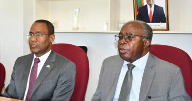 IMF Deputy Chief Praises Zambia’s Economic Reforms