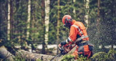Choosing the Right Tool: Chain Saw vs. Pole Saw for the Job 