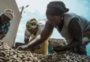 AfDB Invests $100M in Arise IIP to Boost Africa’s Industrial Zones