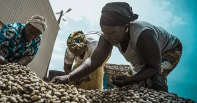 AfDB Invests $100M in Arise IIP to Boost Africa’s Industrial Zones
