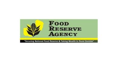Zambia Thanks Tanzania for Lifesaving Maize Support During Drought Crisis