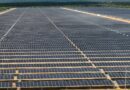 Zambia’s Solar Revolution Gains Momentum as Mailo Plant Adds 25MW to National Grid