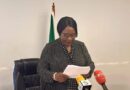 Zambia Pledges Decent Work and Fair Wages at ILO Conference
