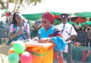 Zambia Marks World Day Against Child Labor with Plan to Rescue More Children