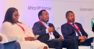 CEC Urges Rethink of Risk Models to Unlock Africa’s Energy Potential