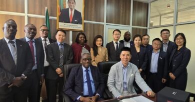 LONGi Green Energy to Invest in 100MW Solar Power Project in Zambia by December 2025