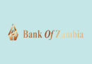 Bank of Zambia Charts Bold Path to Stability in 2025, Says Economic Expert