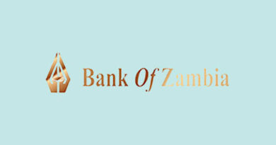 Bank of Zambia Charts Bold Path to Stability in 2025, Says Economic Expert