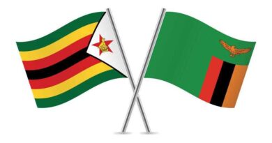 Zambia and Zimbabwe Strengthen Medical Product Regulation with New MoU