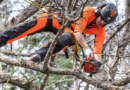 Husqvarna Shares Expert Tips on Pruning for Year-Round Garden Beauty