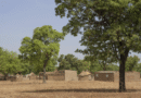 The goal of eliminating malaria by 2030 is in jeopardy