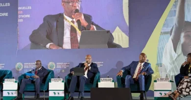 Digital Technologies Could Unlock Billions in Revenue for Africa, Experts Say