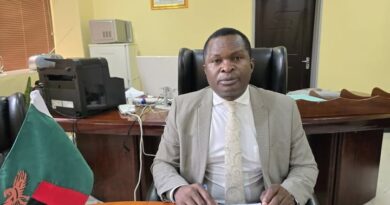 Ministry of Energy Targets 1,000MW Boost by December Under Presidential Directive