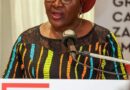 Gov’t Scales Up Support for SMEs as President Hichilema Launches $70M GIP Zambia Fund