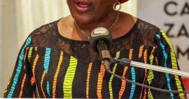 Gov’t Scales Up Support for SMEs as President Hichilema Launches $70M GIP Zambia Fund