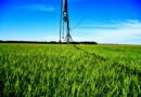 Zambia and Brazil Unite to Transform Agriculture Through Innovation and Trade