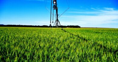 Zambia and Brazil Unite to Transform Agriculture Through Innovation and Trade