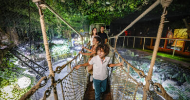 Dubai Delivers Cool Comfort as Emirates Elevates Summer Travel Experience