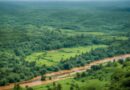 Central African Republic Innovates with Nature-Based Solutions and Reaffirms Commitment to Urban Climate Resilience