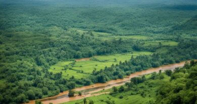 Central African Republic Innovates with Nature-Based Solutions and Reaffirms Commitment to Urban Climate Resilience