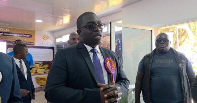 ZCCM-IH, Minister Mulenga Praise Mining Progress at Trade Fair