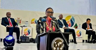 Lusaka Mayor Urges Stronger Partnerships at National Adaptation Planning Expo